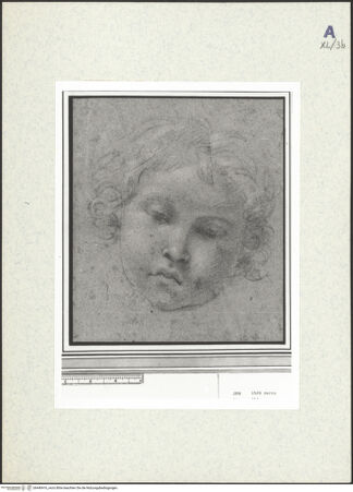 Vorderseite von bh440416_recto