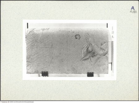 Vorderseite von bh440421_recto