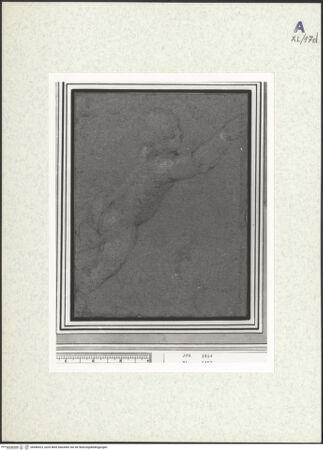 Vorderseite von bh440423_recto