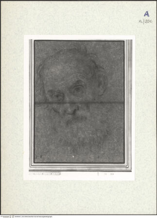 Vorderseite von bh440431_recto