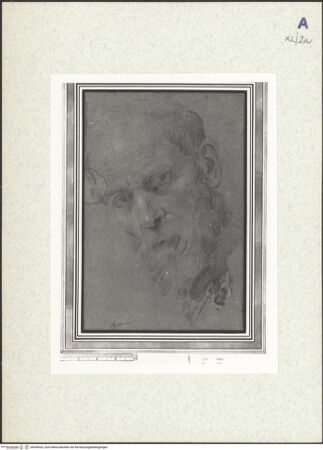 Vorderseite von bh440433_recto