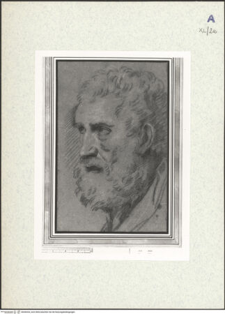 Vorderseite von bh440434_recto