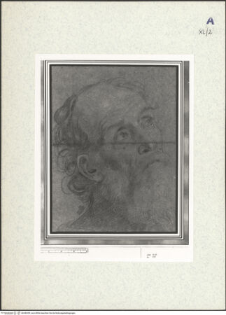 Vorderseite von bh440439_recto