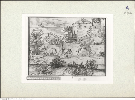 Vorderseite von bh440440_recto