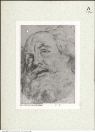 Vorderseite von bh440442_recto