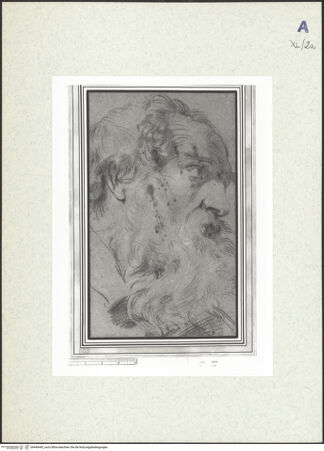 Vorderseite von bh440445_recto