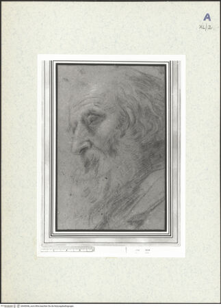 Vorderseite von bh440446_recto