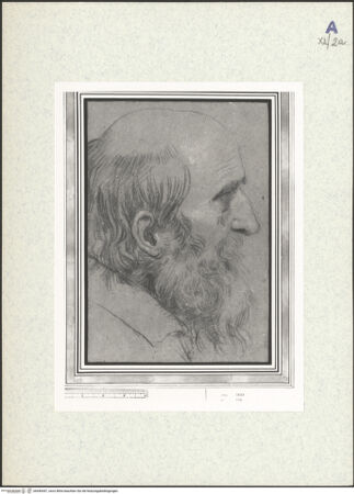 Vorderseite von bh440447_recto