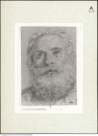 Vorderseite von bh440449_recto