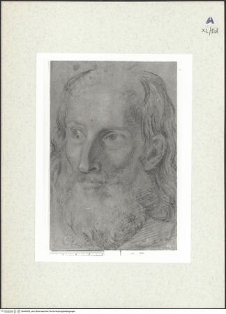 Vorderseite von bh440450_recto