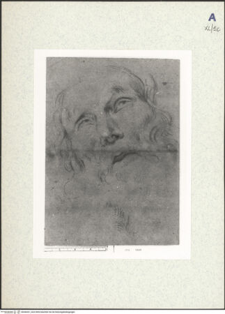 Vorderseite von bh440451_recto