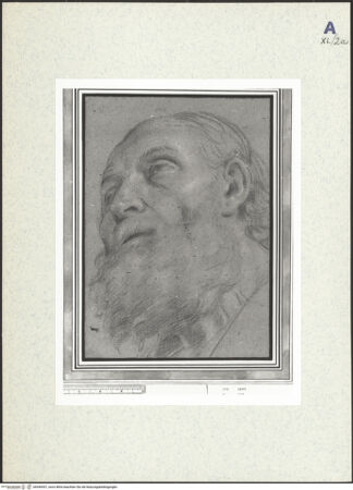 Vorderseite von bh440457_recto