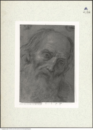 Vorderseite von bh440459_recto