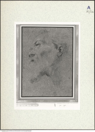 Vorderseite von bh440460_recto