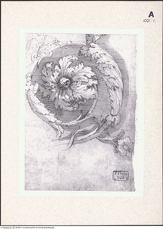 Vorderseite von bh440817_recto