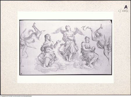 Vorderseite von bh440867_recto