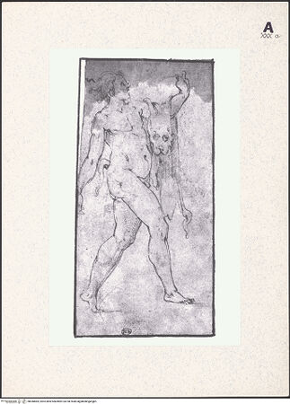 Vorderseite von bh440884_recto