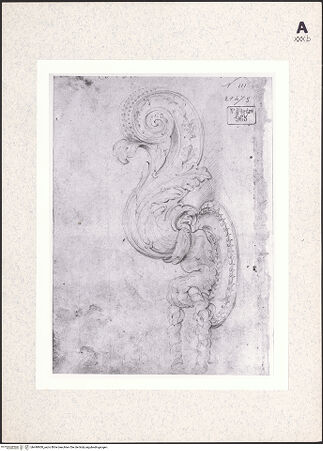 Vorderseite von bh440900_recto