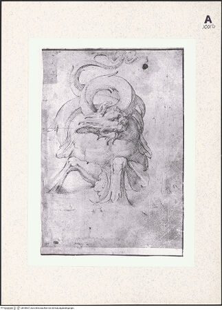 Vorderseite von bh440907_recto