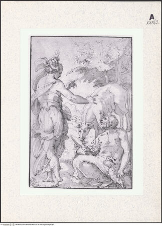 Vorderseite von bh440936_recto