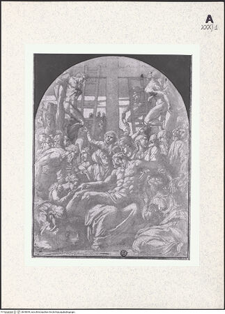 Vorderseite von bh440949_recto