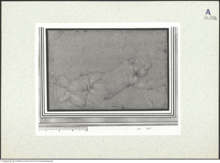 Vorderseite von bh440986_recto