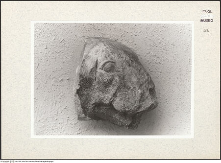 Vorderseite von bh441061_recto