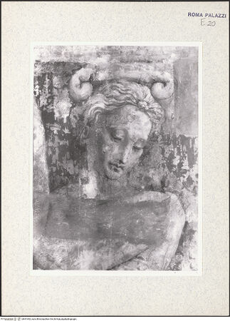 Vorderseite von bh441692_recto