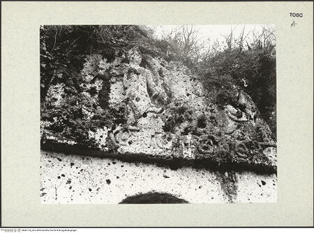 Vorderseite von bh441774_recto