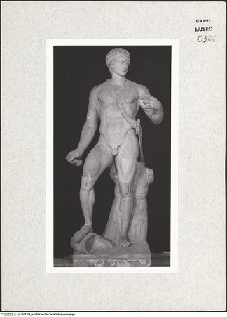 Vorderseite von Museo Archeologico Nazionale, Napoli [https://www.deutsche-digitale-bibliothek.de/content/lizenzen/rv-ez/] Gladiator Farnese (oder Imperator Farnese) Kopie nach einer hellenistischen Statue (2. Jh. v. Chr.) - Gesamtansicht, bh441845_recto. Foto.