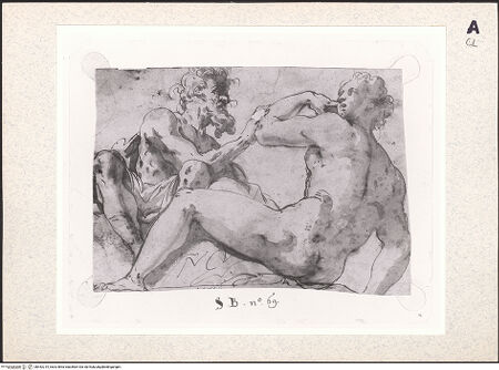 Vorderseite von bh442219_recto