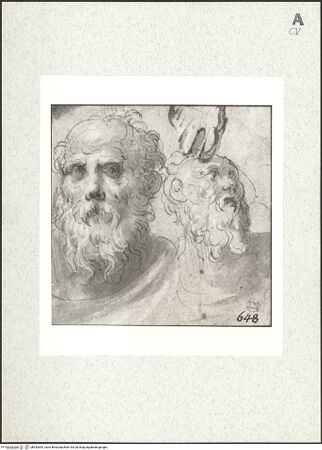 Vorderseite von bh442645_recto