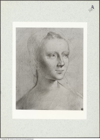 Vorderseite von bh442649_recto