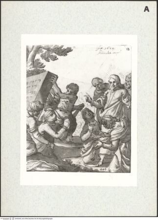 Vorderseite von bh442655_recto