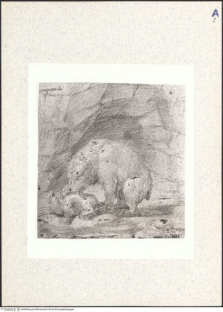 Vorderseite von bh442666_recto