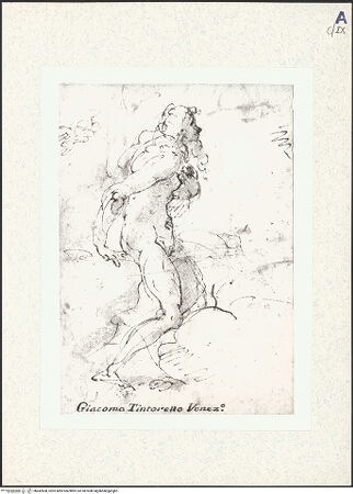 Vorderseite von bh442668_recto