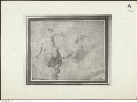 Vorderseite von bh442676_recto