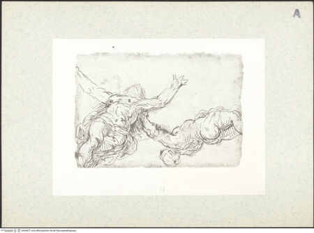 Vorderseite von bh442677_recto