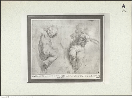 Vorderseite von bh442678_recto