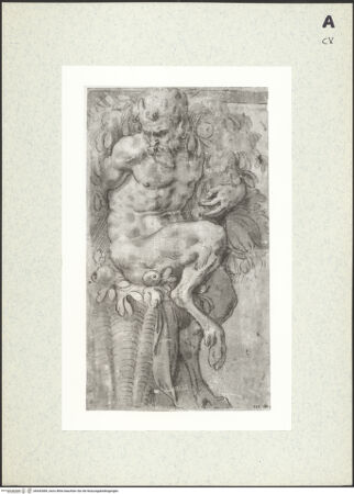 Vorderseite von bh442689_recto