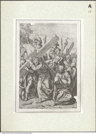 Vorderseite von bh442690_recto