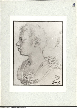 Vorderseite von bh442706_recto