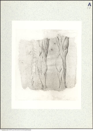 Vorderseite von bh442707_recto