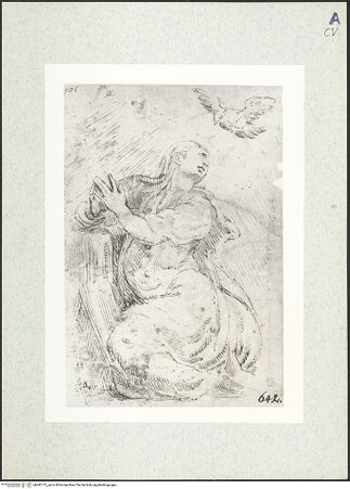 Vorderseite von bh442712_recto