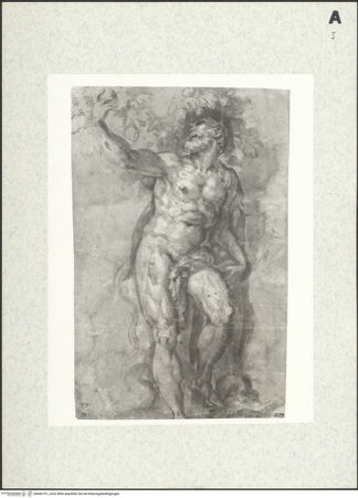 Vorderseite von bh442751_recto