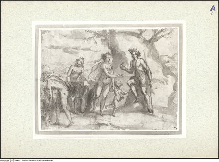 Vorderseite von bh442767_recto