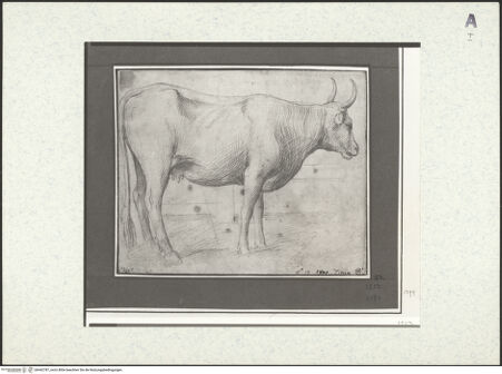 Vorderseite von bh442787_recto