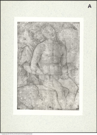 Vorderseite von bh442788_recto