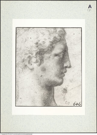 Vorderseite von bh442797_recto