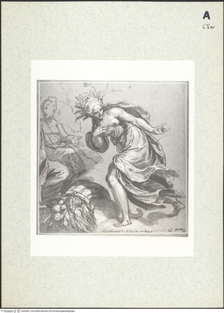 Vorderseite von bh442801_recto